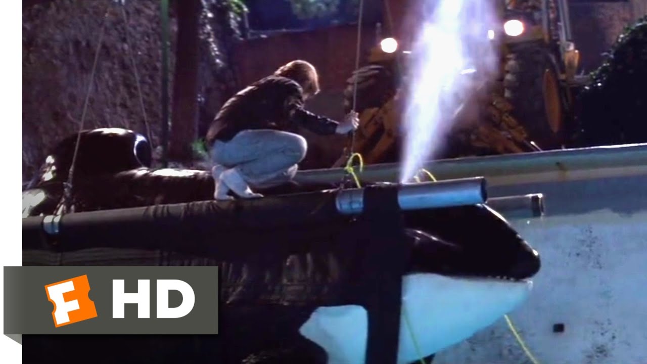 Free Willy (1993) - Harnessing Willy Scene (8/10) | Movieclips