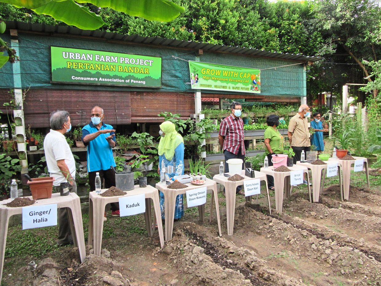Greener way to mark new year