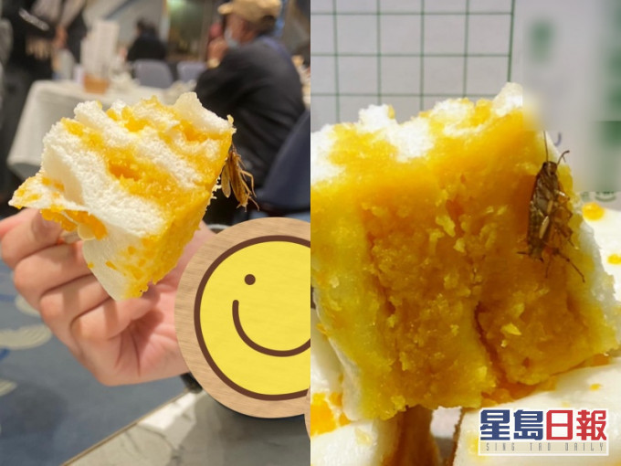 【维港会】酒楼千层糕附送巨型曱甴 网民抽水「好新鲜」