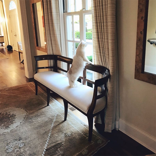 Nicole Kidman and Keith Urban's grand home is in a league of its own