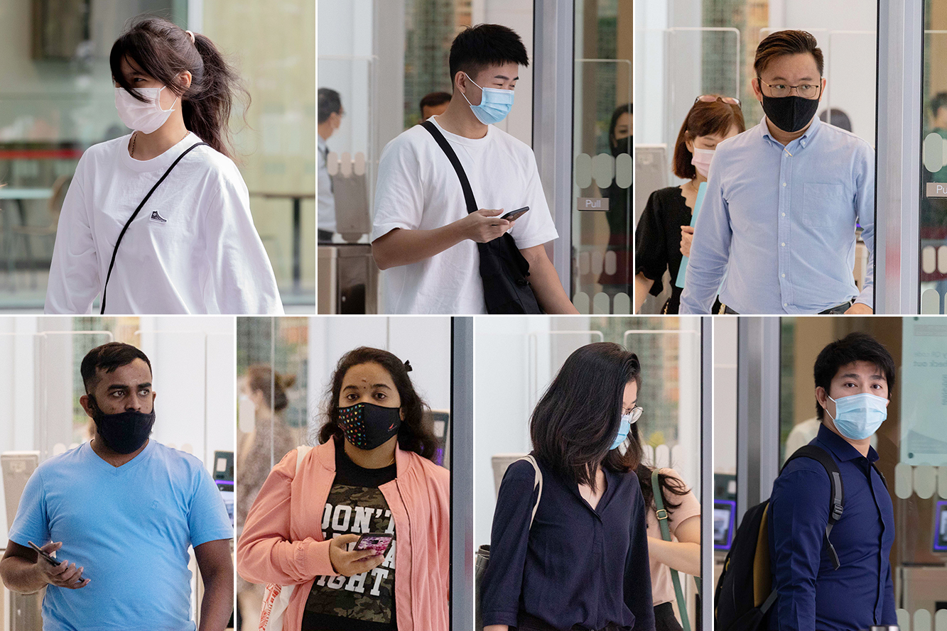 8 people who fed wild boars at Lorong Halus charged under stricter Wildlife Act, another 11 to be charged: NParks