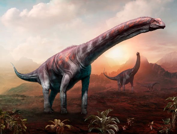 Dinosaur discovery: Fossils found in Argentina may have belonged to largest land animal