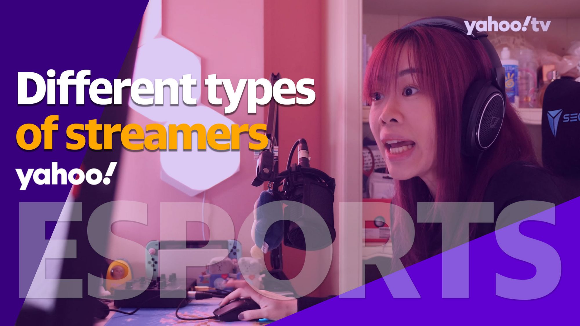 Different types of esports and game streamers
