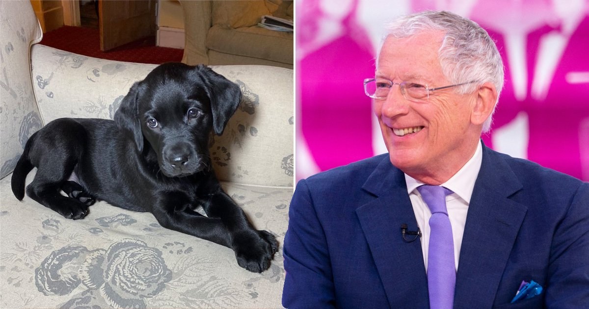 Nick Hewer gets himself cutest retirement gift after quitting Countdown