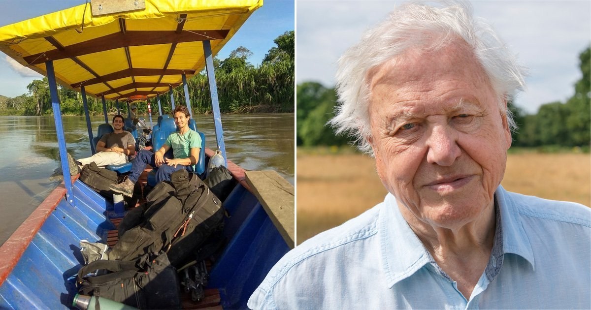 David Attenborough’s A Perfect Planet crew ‘barely escape with lives’ after boat capsizes in Peru
