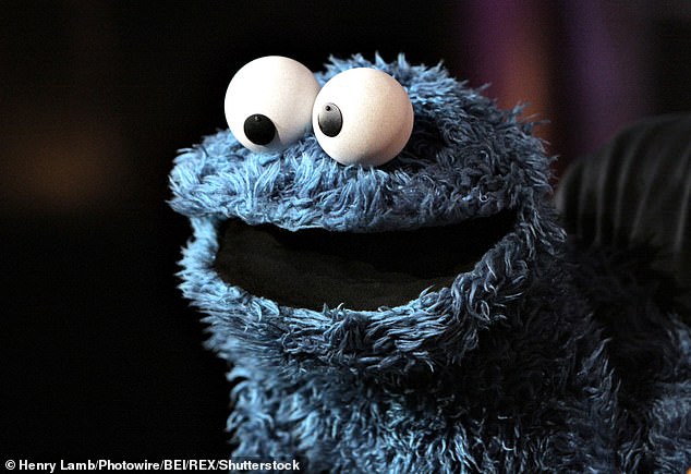 What a muppet! Geologist finds incredibly rare lump of volcanic agate rock which looks exactly like Sesame Street's Cookie Monster