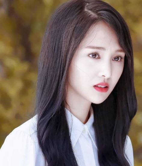 Did Love 020 Actress Zheng Shuang Abandon Her Two Children? Truth Behind Zhang Heng's Allegations