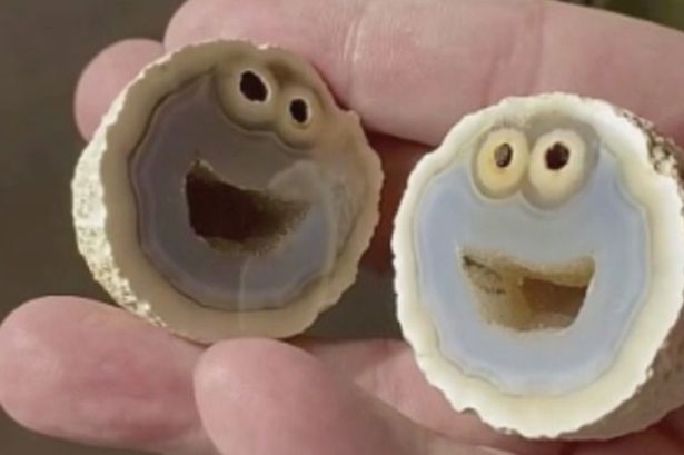 Simple rock with Cookie Monster's face inside could be worth eye-watering £7,300