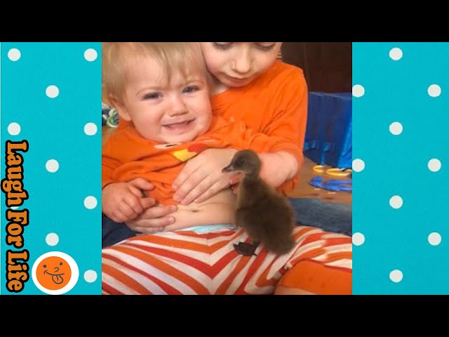 Donald Duck Real Life : Try Not To Laugh With Babies and Duck