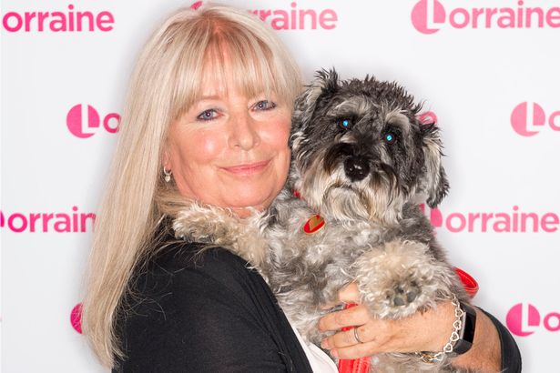 Bruce Forsyth's daughter fighting for law change after beloved terriers stolen from car