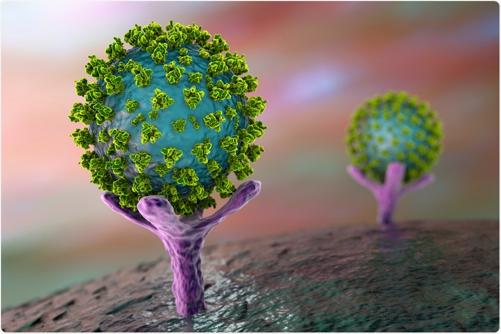 Promising nanobodies against COVID-19 produced by llamas
