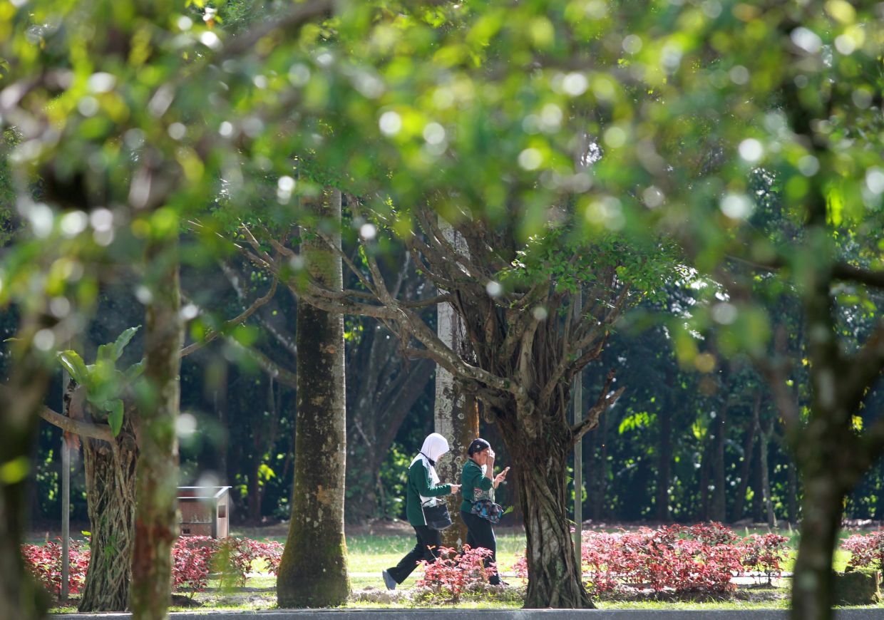 All public parks in PJ to reopen Saturday (March 6)