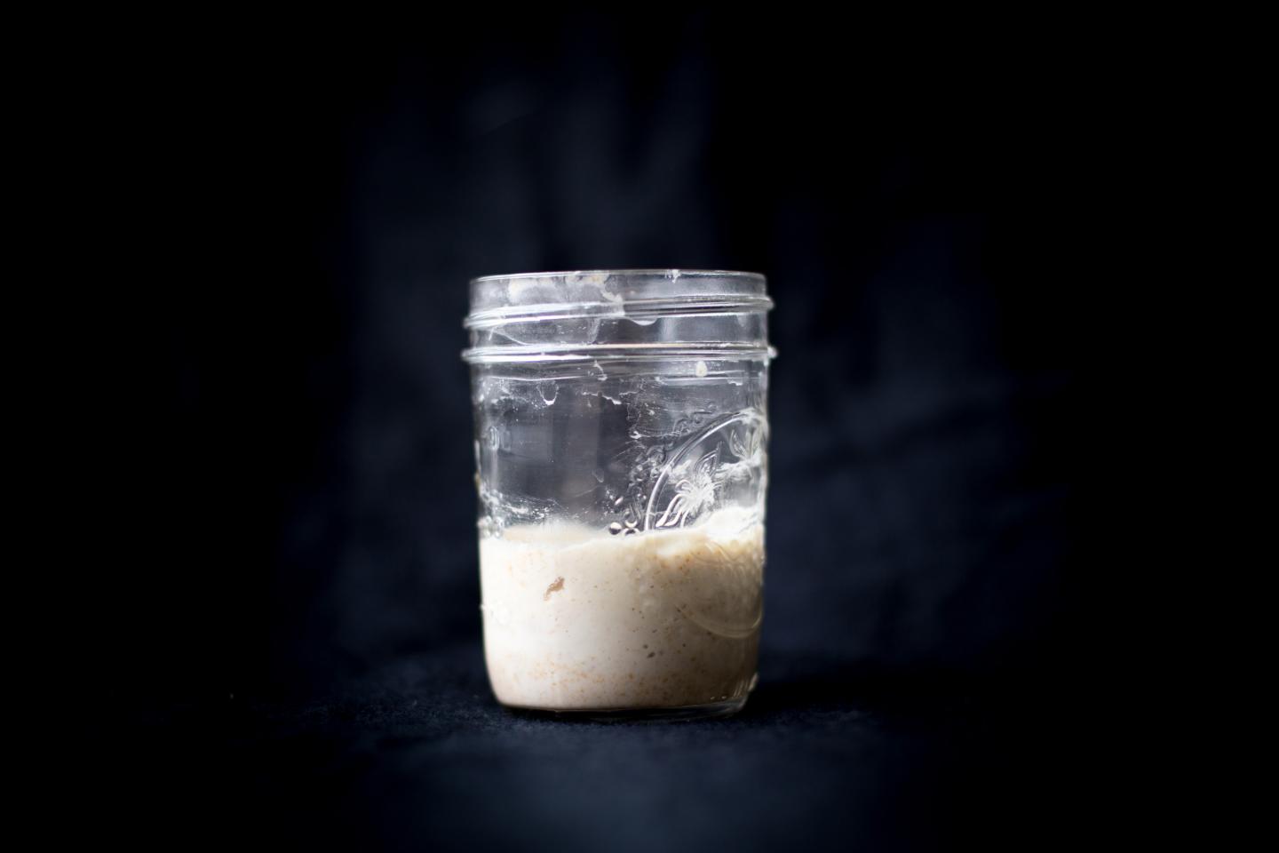 Intercontinental study sheds light on the microbial life of sourdough