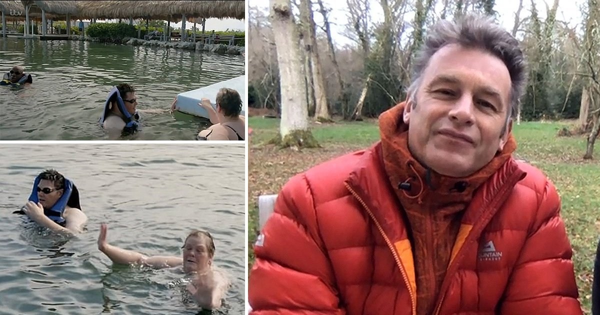 The Chase stars slammed by Chris Packham for swimming with captive dolphins