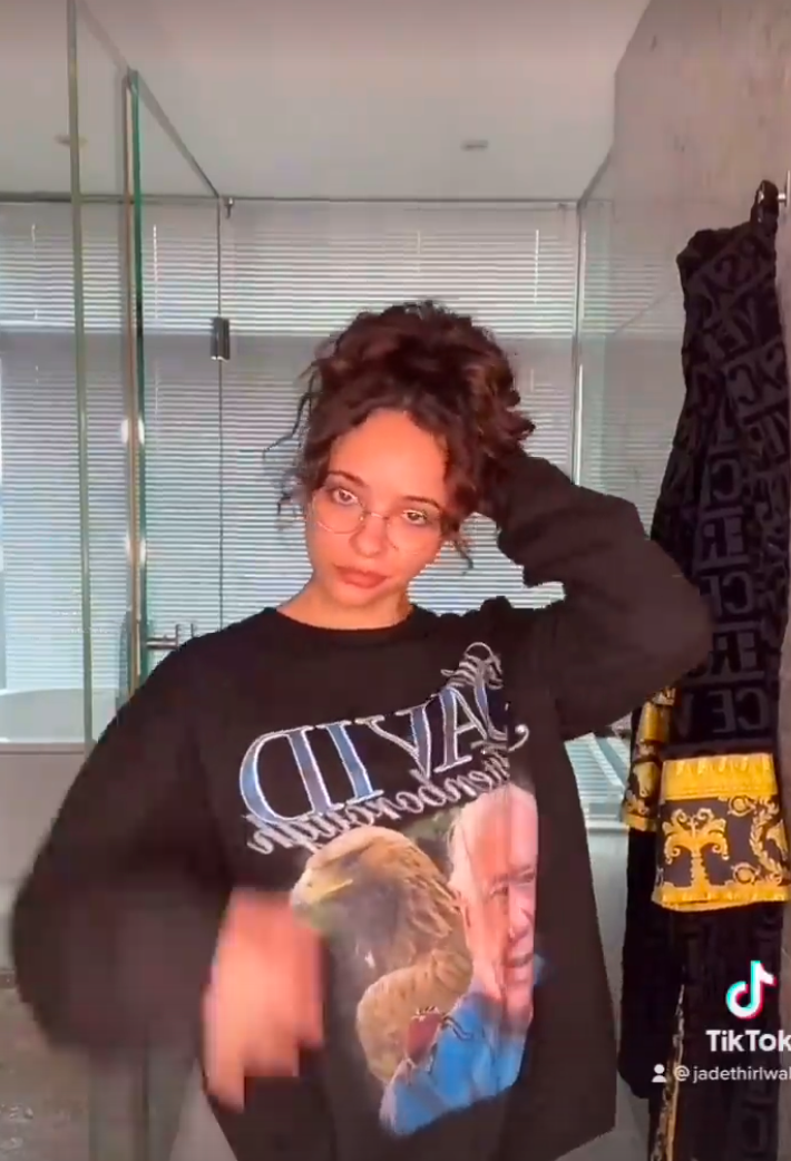 Little Mix star Jade Thirlwall spices things up as she twerks for Buss It Challenge