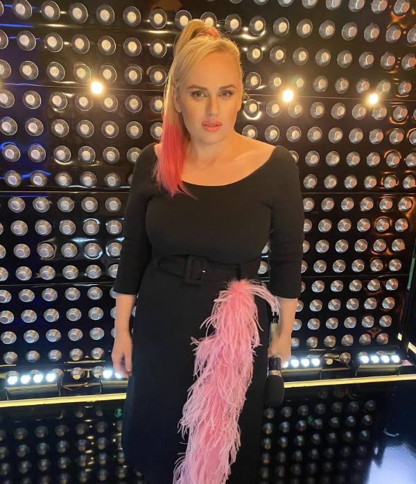Rebel Wilson wows in figure-hugging LBD with hot pink hair