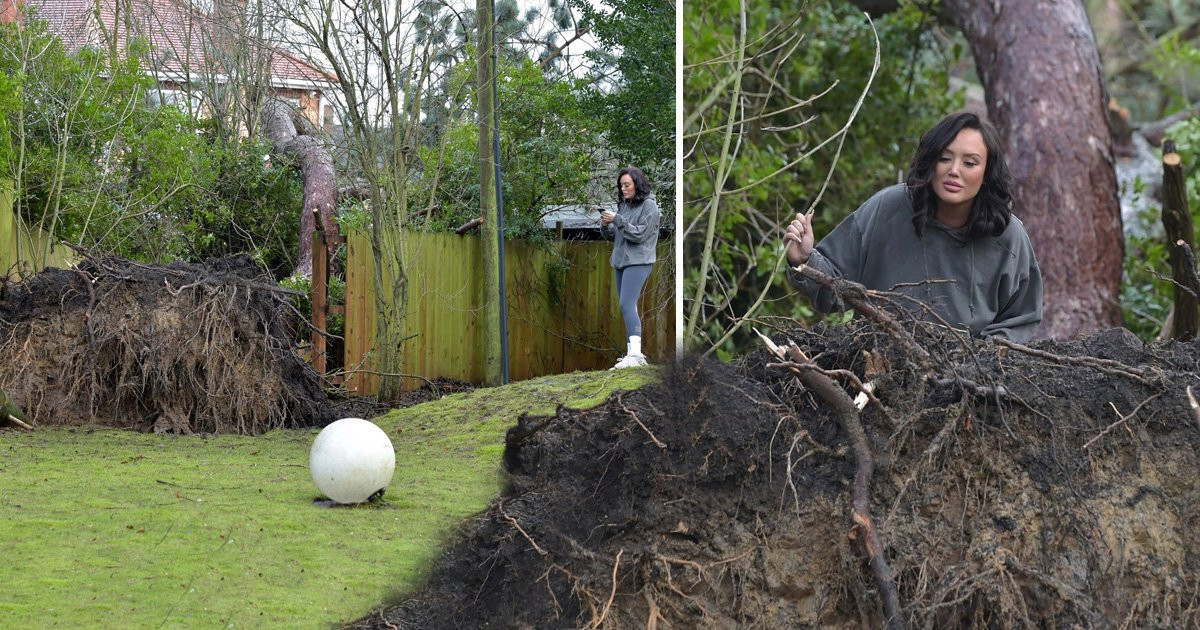 Charlotte Crosby has an absolute nightmare as giant tree falls into neighbour’s garden: ‘I don’t know if it could get any worse than this’
