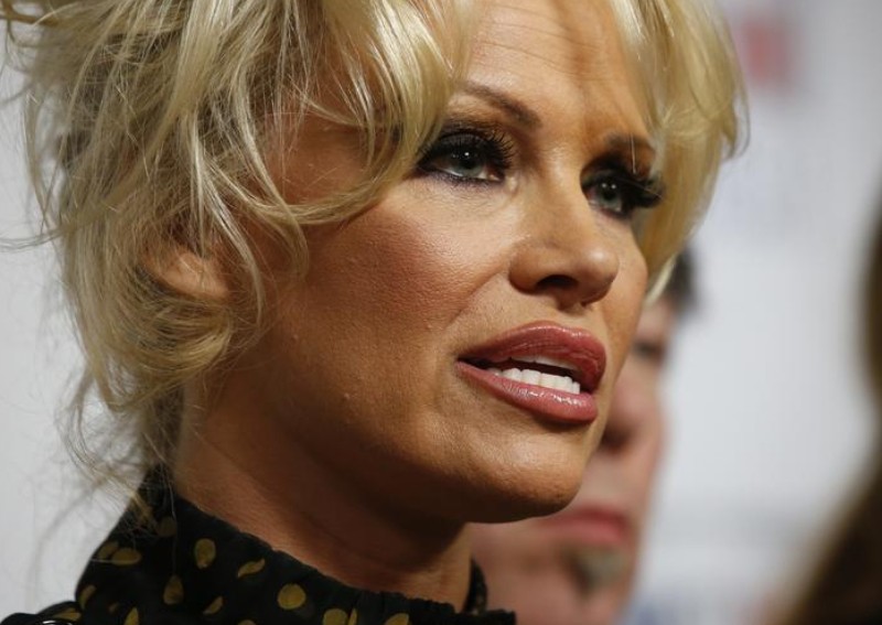 Pamela Anderson accused of homewrecking by her new husband's ex