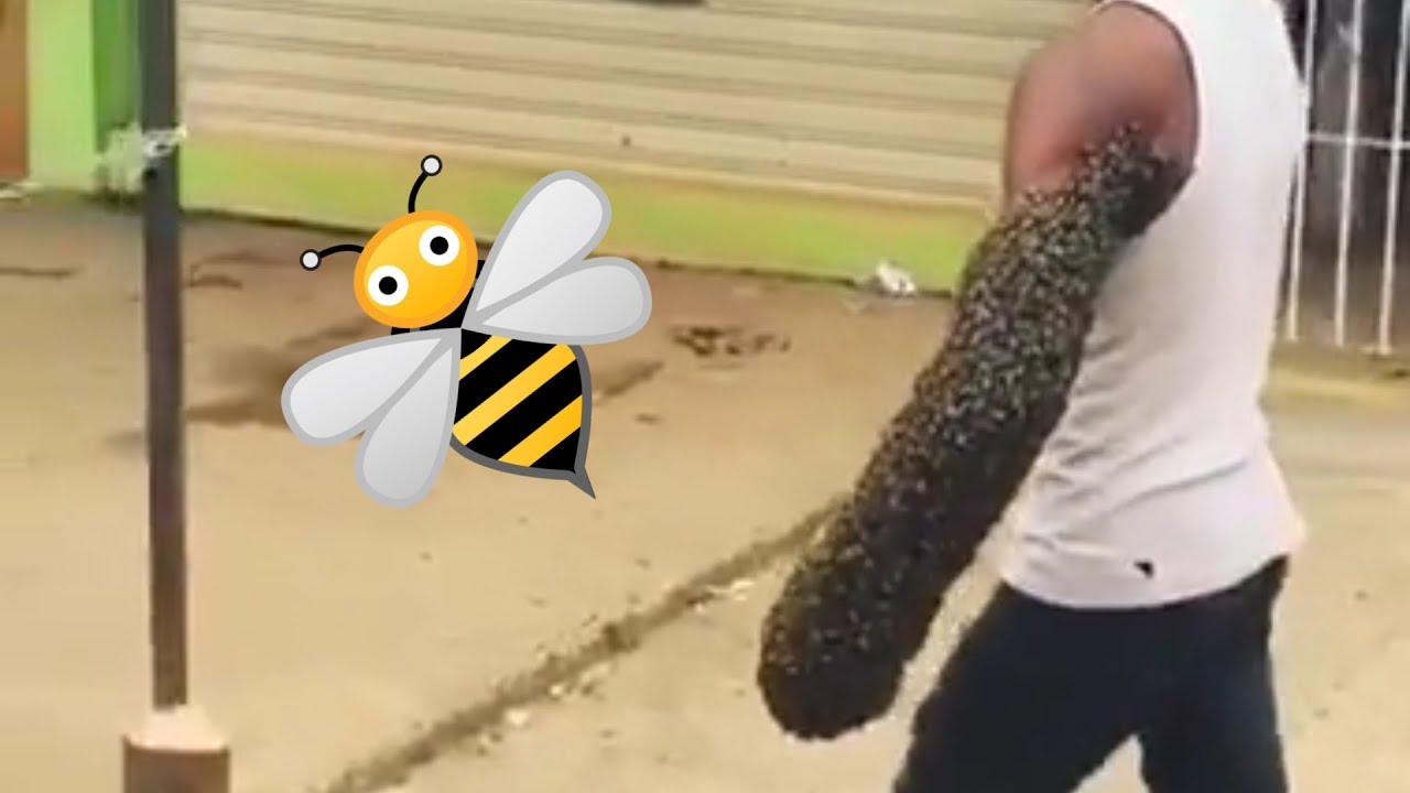 Guy Walks With Swarm of Bees On His Arm