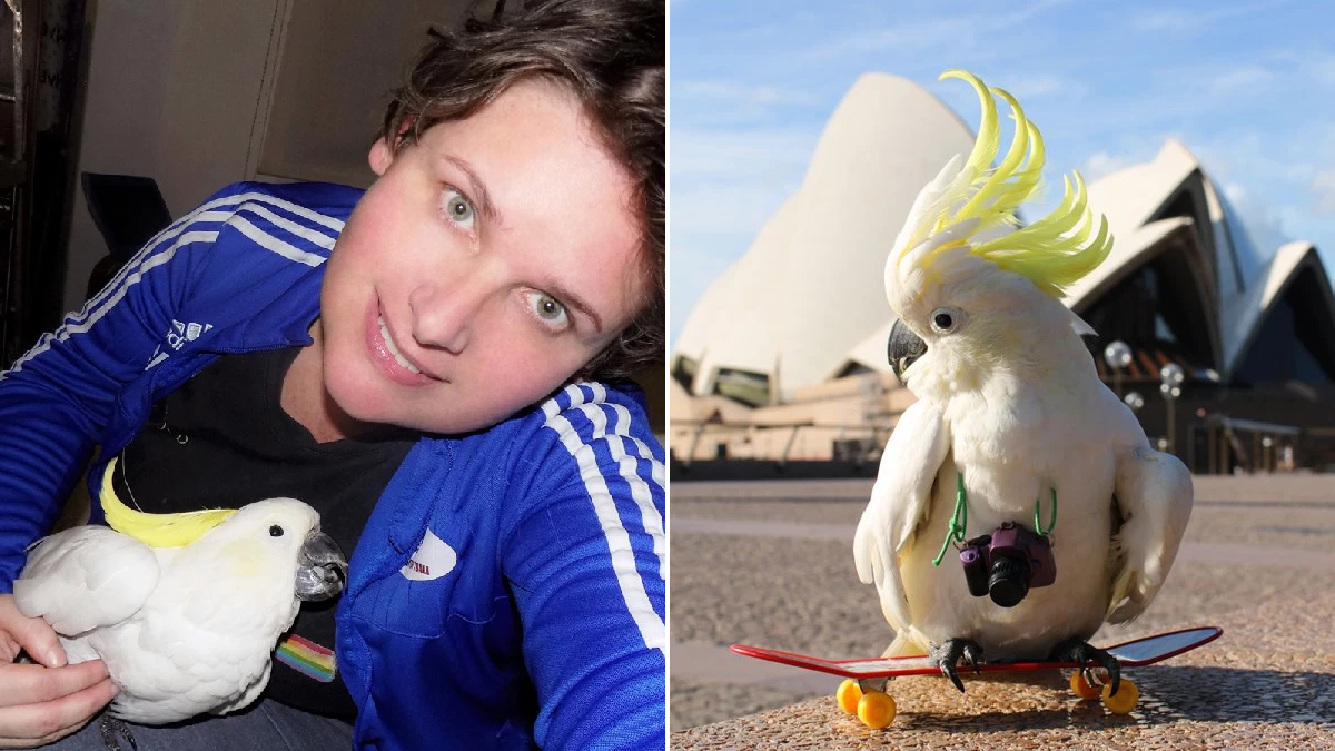 Bird lover who changed her name to Sparrow is creating a book about her 100-year-old skateboarding cockatoo