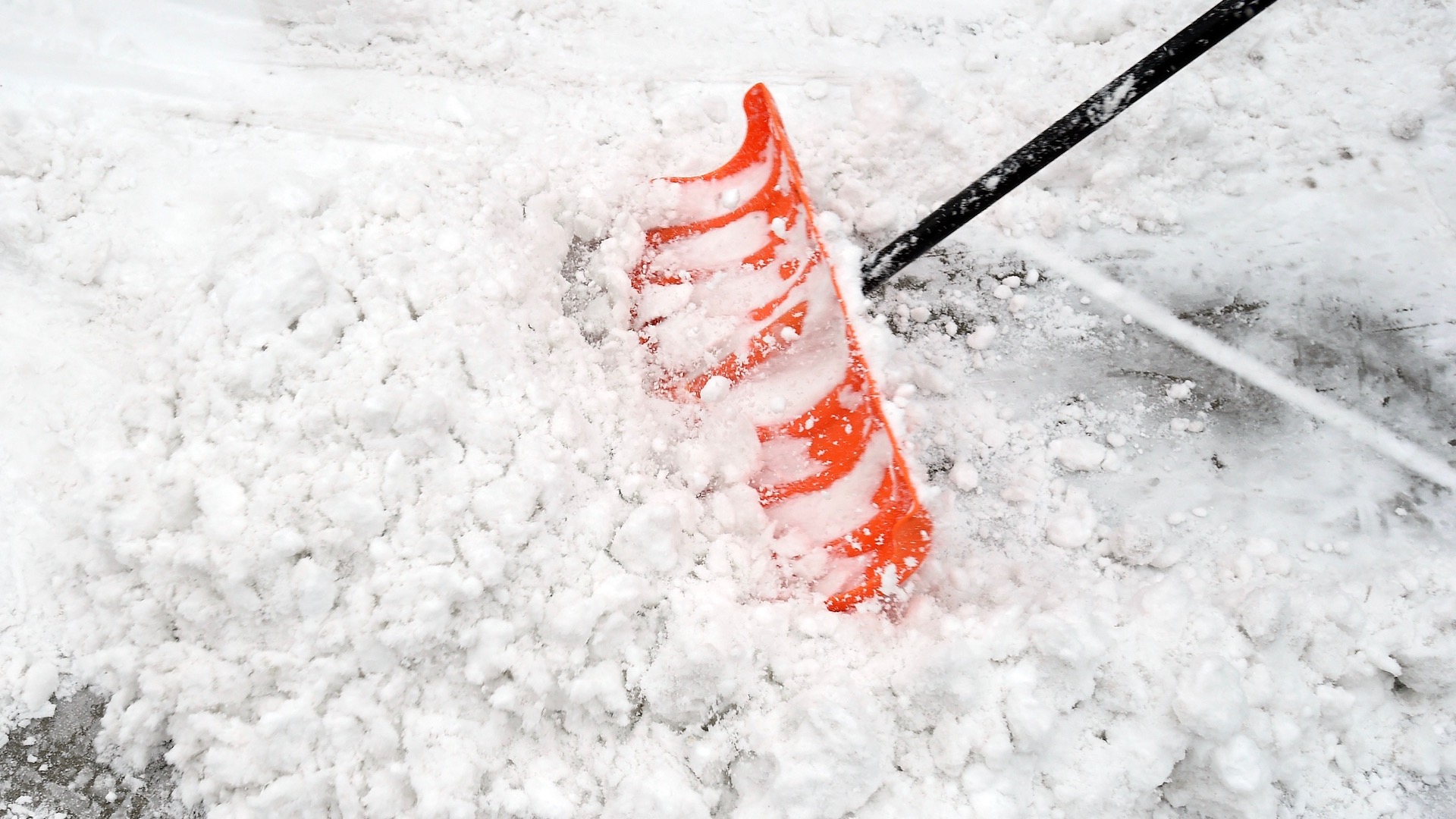Dispute Between Neighbors Over Snow Disposal Results in Double Murder-Suicide