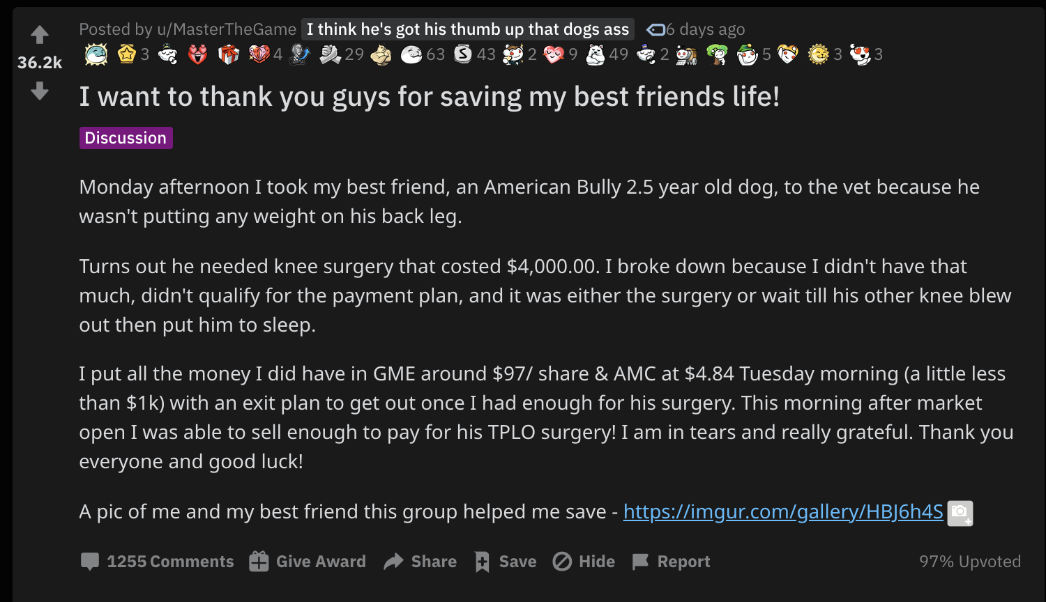 The WallStreetBets GameStop Hype Helped This Guy Save His Dog's Life