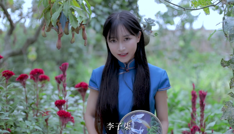 YouTube订阅量达1410万　李子柒刷新世界纪录