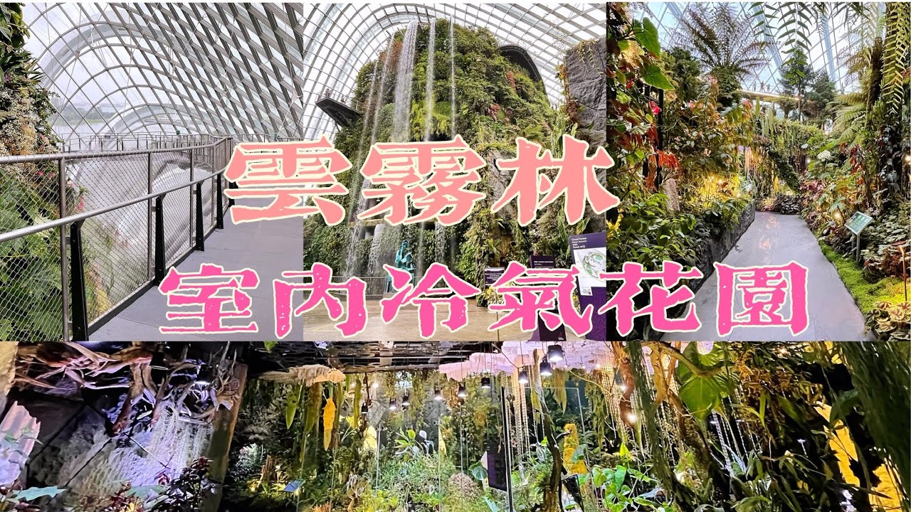 漫步在新加坡的无柱冷室花园云雾林犹如仙境啊，一起跟我云游一番吧……