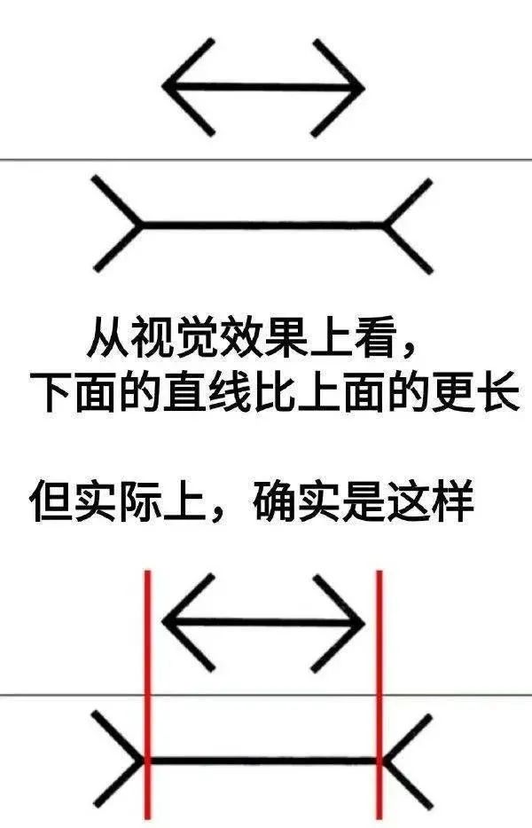 【冷兔趣闻】进来一起浪费3分钟