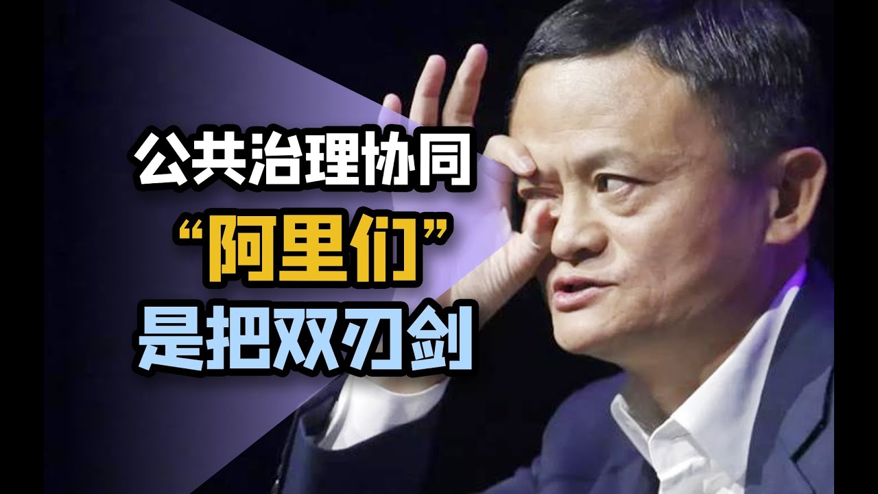 “阿里们”掌握海量政府公共数据，谁来管？怎么管？【一勺思想·樊鹏】