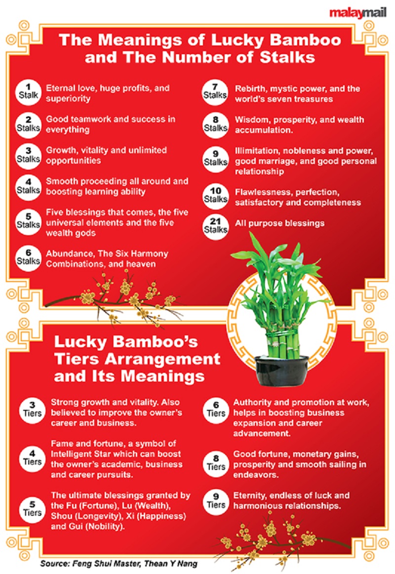 A blooming season: Four types of plants that are auspicious for Chinese New Year