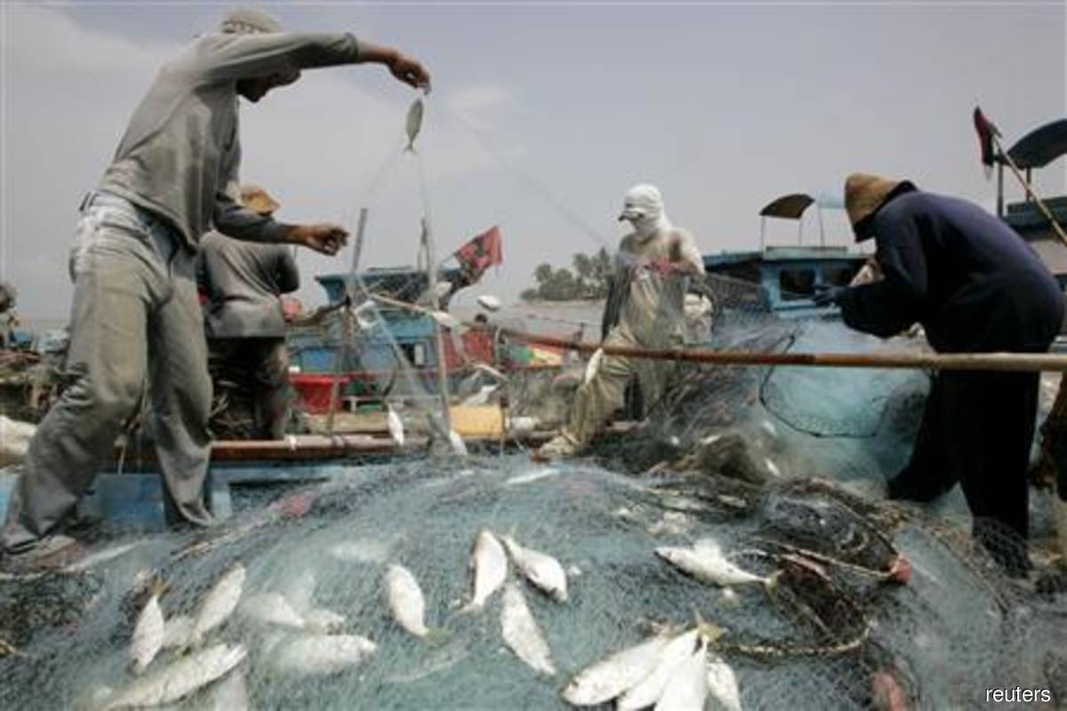 Govt allows resumption of small scale fishing activities