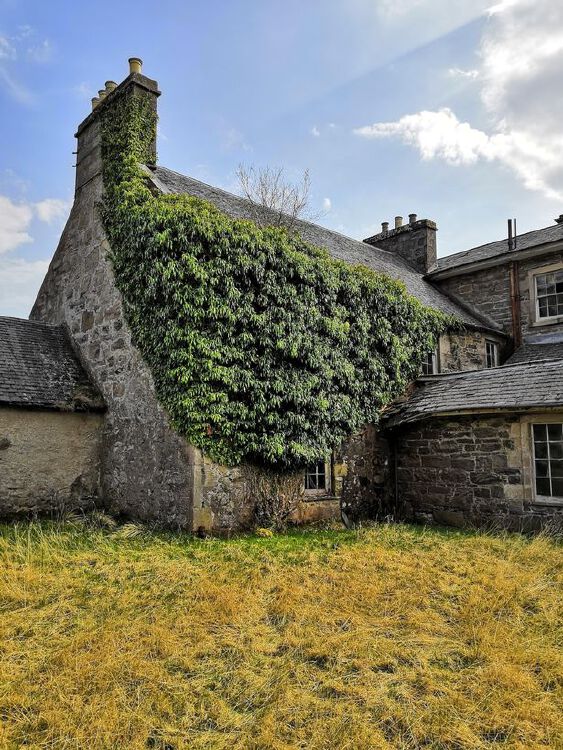 Inside eerie mansion abandoned 54 years ago as famous owner left everything  | Nestia