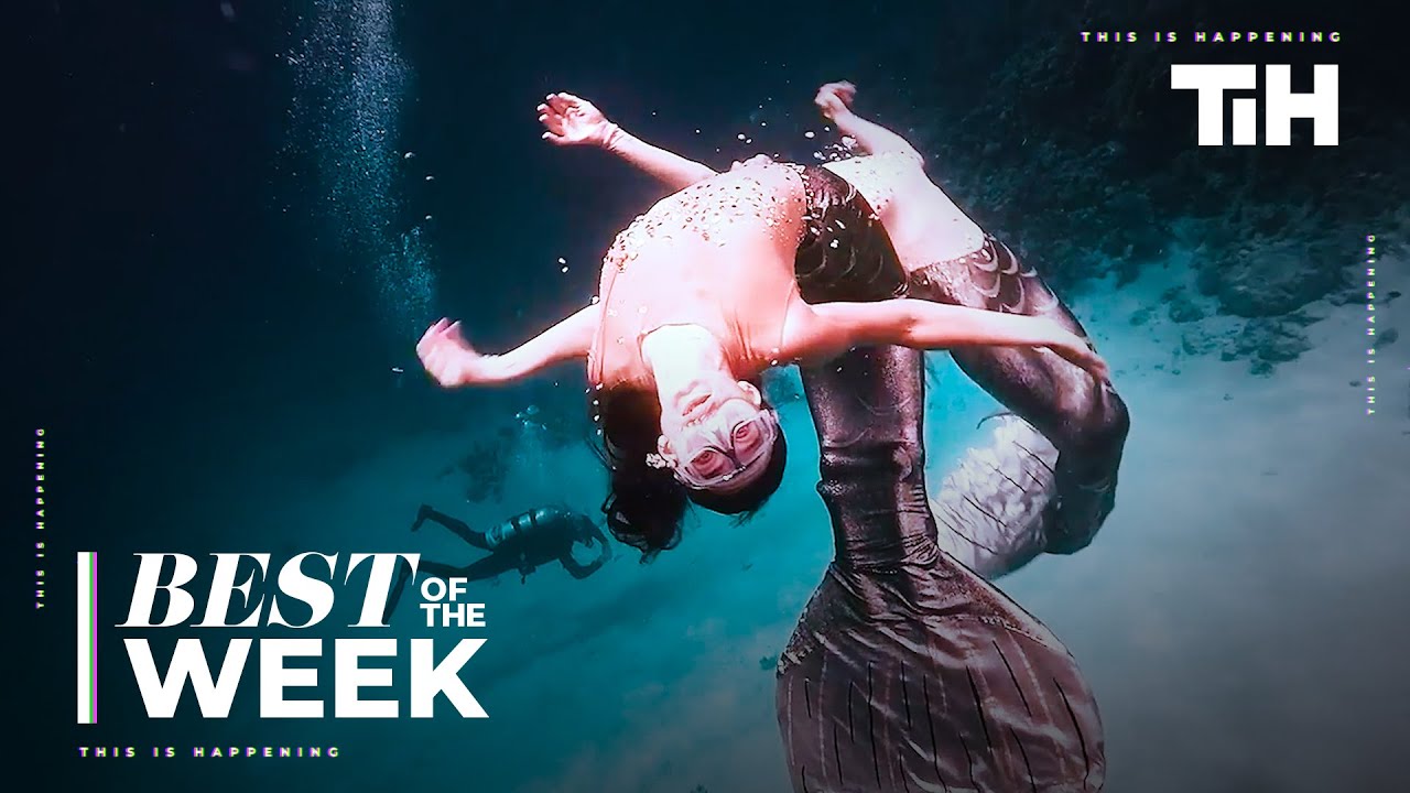 Best of the Week: February - Week 2