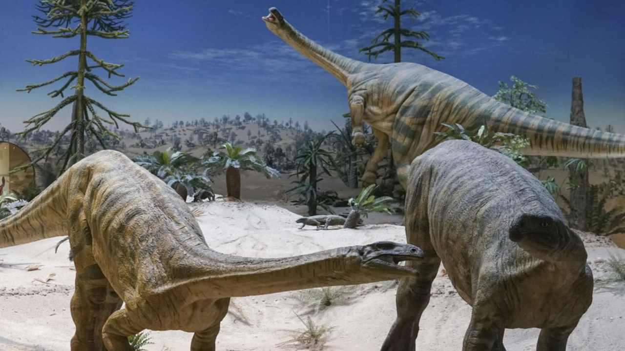 Dinosaur migration was partly delayed by climate, herbivores took longer to traverse North: Study