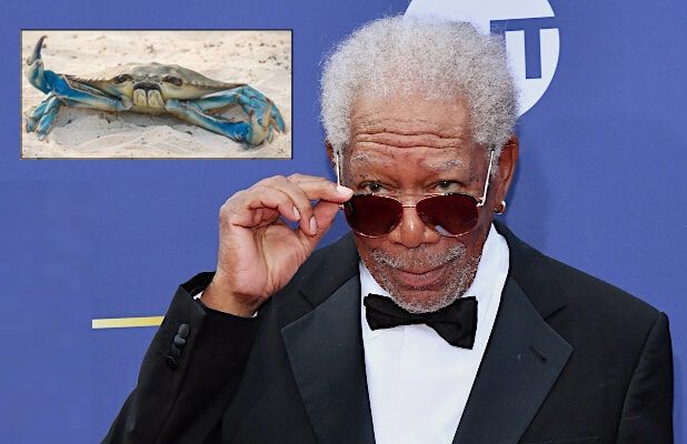 No, That’s Not Morgan Freeman Voicing the Crab in ‘Barb and Star Go to Vista Del Mar’