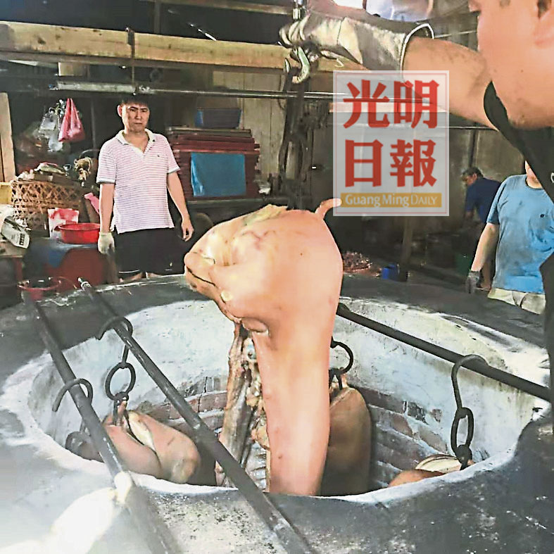 黄金柳坚持老方法 椰壳烧猪古早味飘香