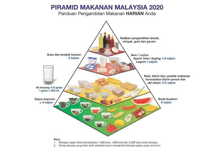 There's A New Food Pyramid And It Says To Eat Less Carbohydrates 