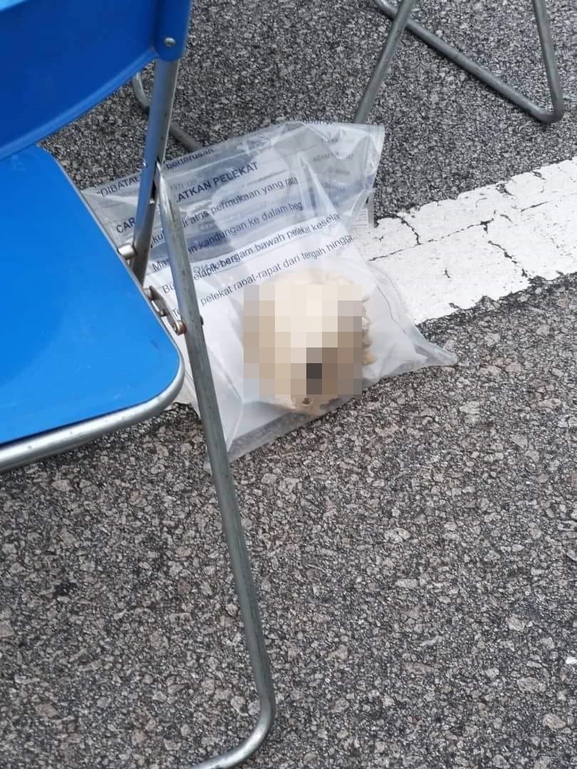 大道丛林发现撞毁轿车　一旁寻获人类骸骨