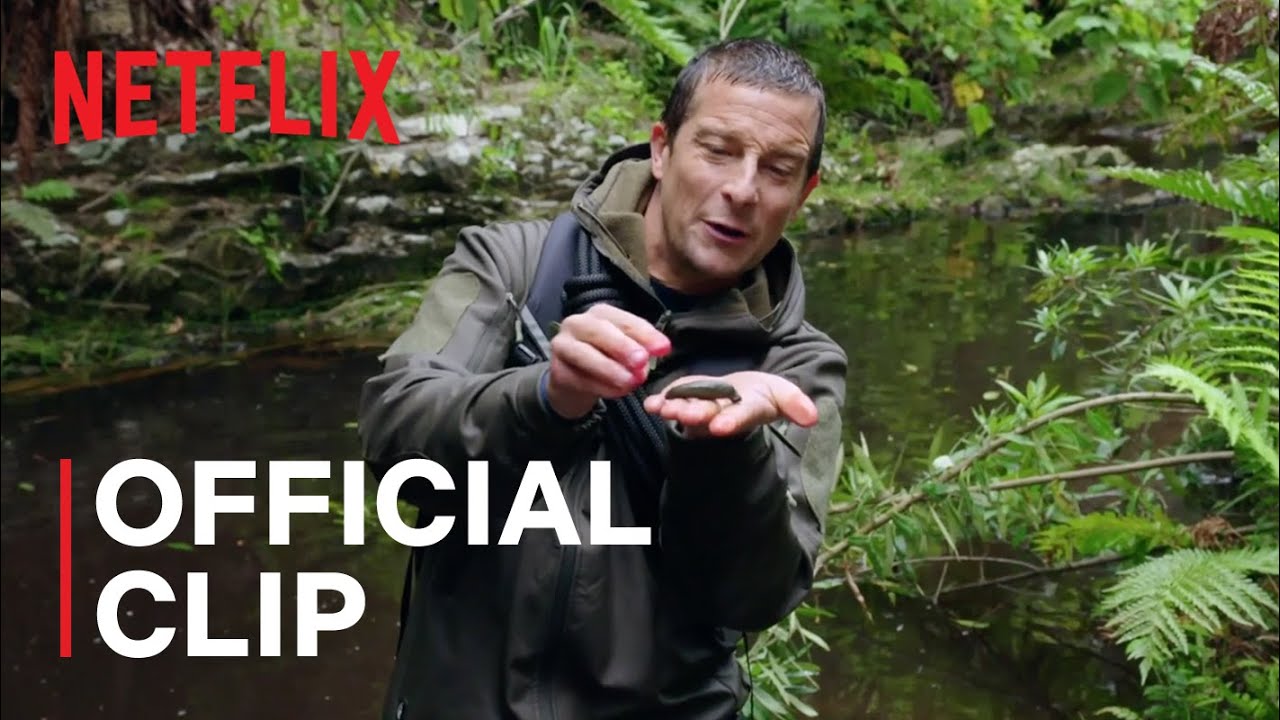 A Leech Latches on to Bear Grylls | Animals on the Loose: A You vs WIld Movie | Netflix
