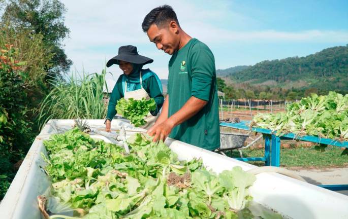 Pick your own fresh produce at Lang Agro Park
