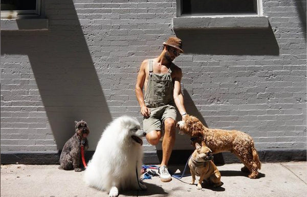 Lady Gaga’s Dog Walker Recalls Being Shot and Cradling ‘Guardian Angel’ Dog