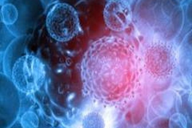 New research on drugs for cancer