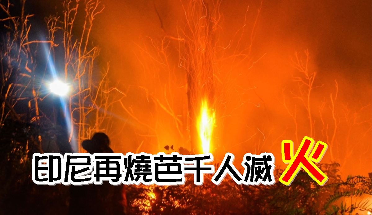 印尼再烧芭　千人灭火