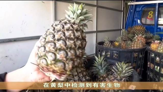 中国禁止台湾黄梨进口 民众购买超过4万公吨黄梨支持农民