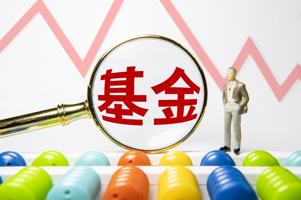张坤、葛兰等顶流基金经理要成团？《天天向上》已发邀请函！