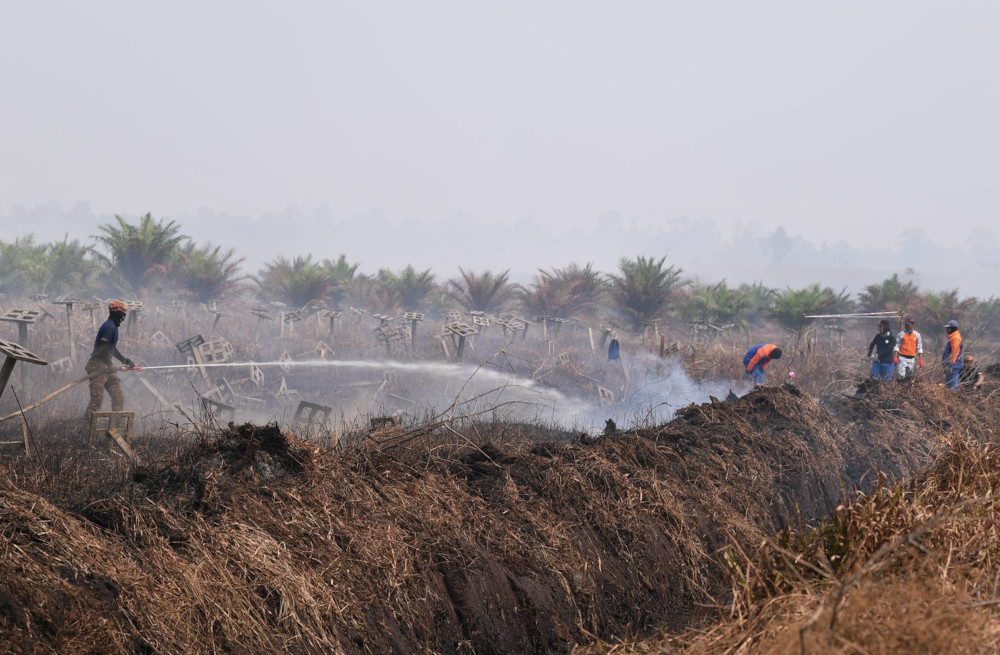 Selangor Fire and Rescue Dept: Five more days to extinguish Kuala Langat Selatan forest fire