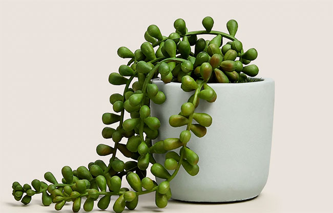 21 best artificial plants to buy for spring 2021: From M&S to Amazon and Ikea