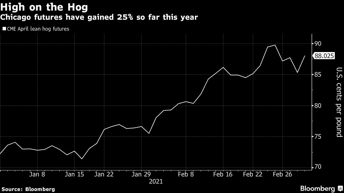 Hog-disease outbreak in China triggers surge in US prices