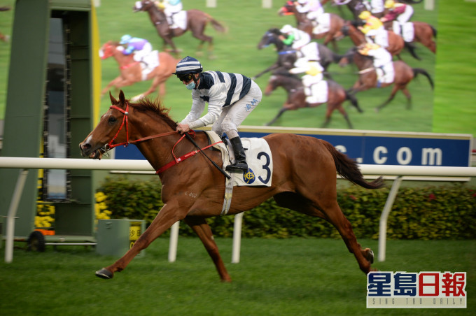 马场密探048：「勇勐神驹」食尾胡　潘顿42分赢骑师王